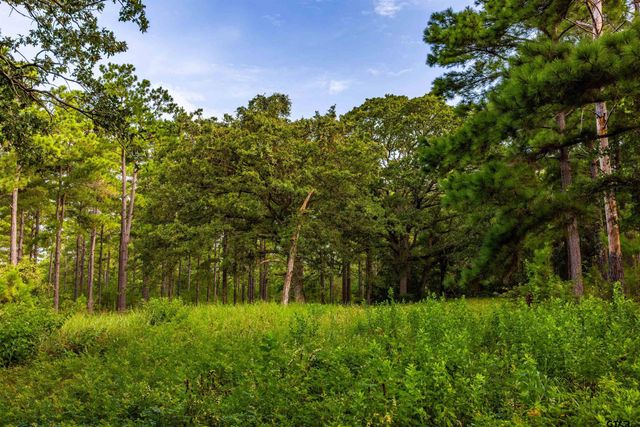 Tract 5 Hwy 155, Frankston, TX 75763