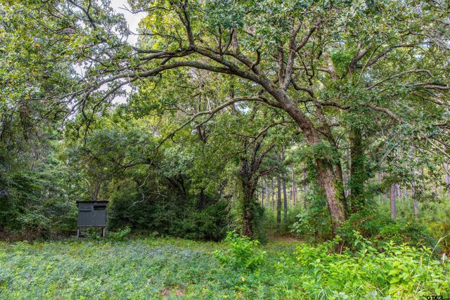 Tract 5 Hwy 155, Frankston, TX 75763