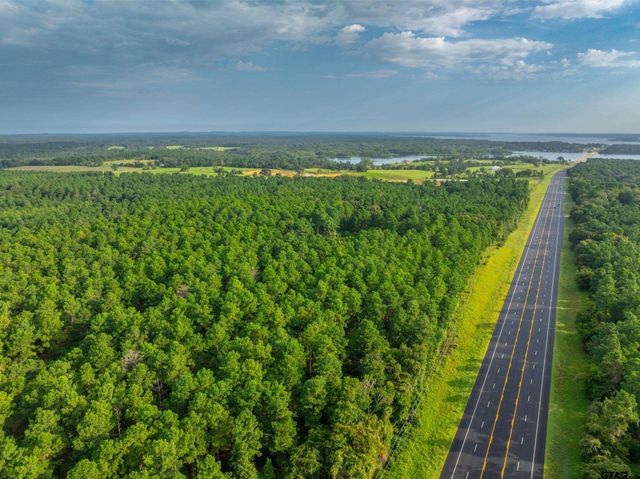 Tract 5 Hwy 155, Frankston, TX 75763