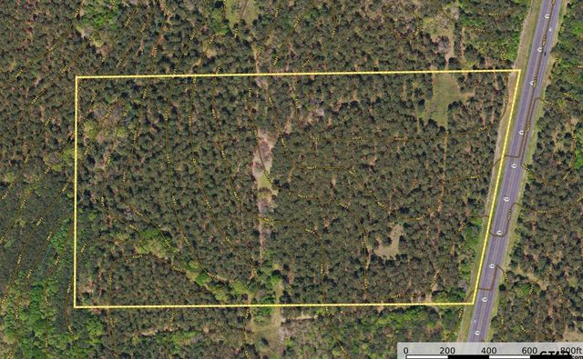 Tract 5 Hwy 155, Frankston, TX 75763