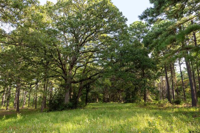 Tract 5 Hwy 155, Frankston, TX 75763
