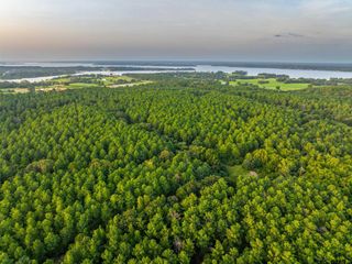 Tract 5 Hwy 155, Frankston, TX 75763