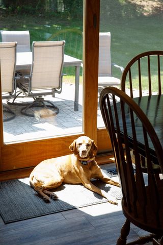 3850 Burlington Drive, Acme Twp, MI 49690