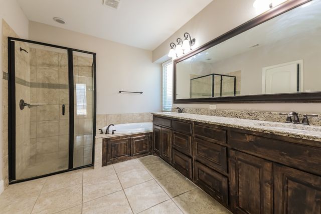 13624 Cortes De Pallas Drive, Little Elm, TX 75068
