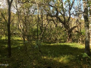 0 Rich Valley (Lot 63) Road, Bristol, VA 24202