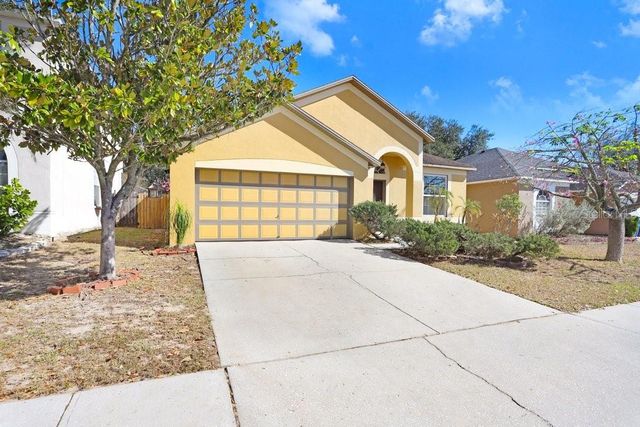 919 GRAND CANYON DRIVE, Valrico, FL 33594