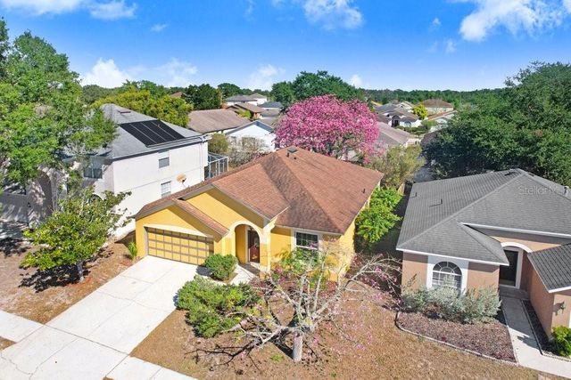 919 GRAND CANYON DRIVE, Valrico, FL 33594