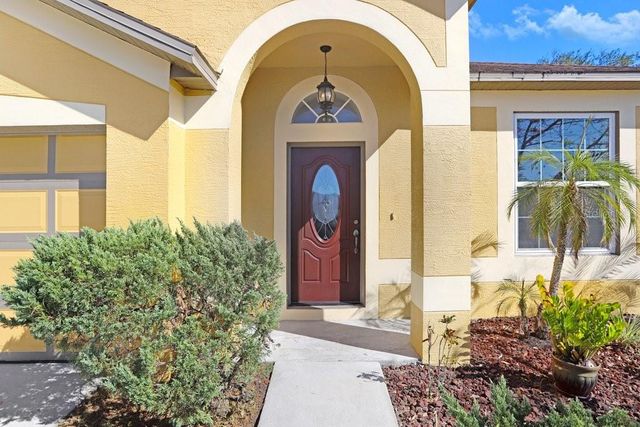 919 GRAND CANYON DRIVE, Valrico, FL 33594