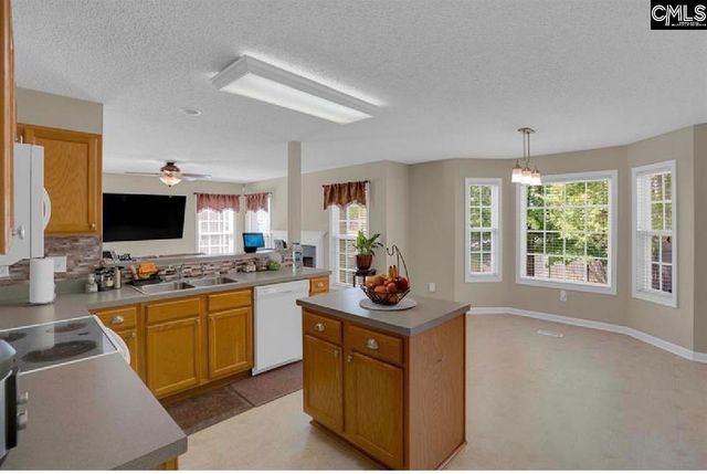 203 Hope Creek Drive, Irmo, SC 29063