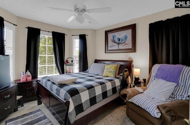 203 Hope Creek Drive, Irmo, SC 29063