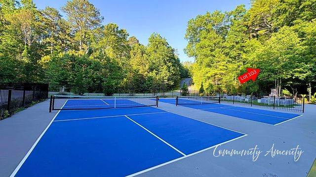 Lot 103 Rhondas Way, Ellijay, GA 30540
