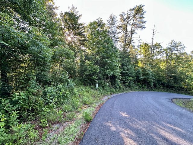 Lot 103 Rhondas Way, Ellijay, GA 30540