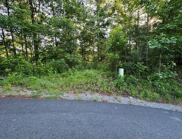 Lot 103 Rhondas Way, Ellijay, GA 30540
