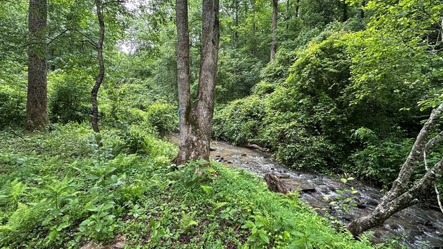 Lot 103 Rhondas Way, Ellijay, GA 30540