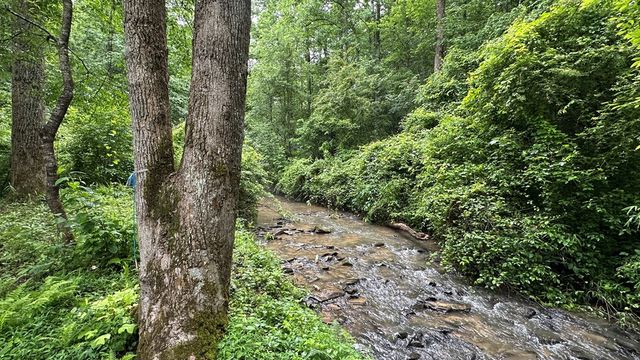 Lot 103 Rhondas Way, Ellijay, GA 30540