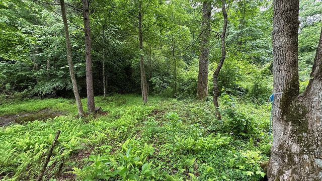 Lot 103 Rhondas Way, Ellijay, GA 30540
