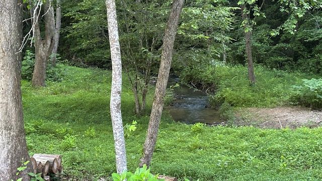 Lot 103 Rhondas Way, Ellijay, GA 30540