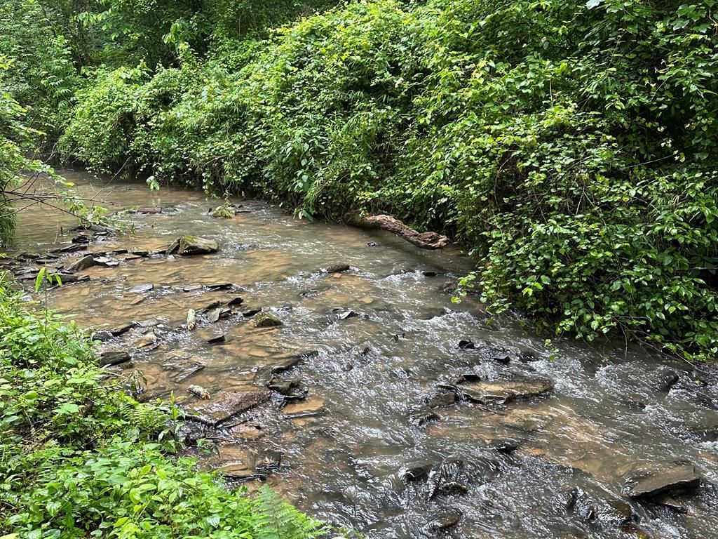 Lot 103 Rhondas Way, Ellijay, GA 30540