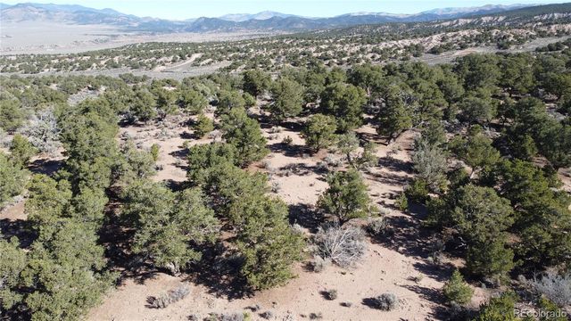Lot 3620 Scheffellin Road, Fort Garland, CO 81133