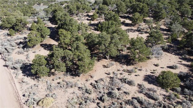 Lot 3620 Scheffellin Road, Fort Garland, CO 81133
