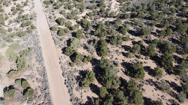 Lot 3620 Scheffellin Road, Fort Garland, CO 81133