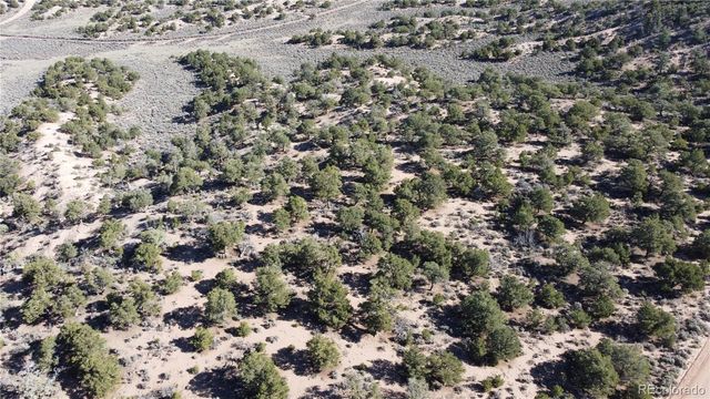 Lot 3620 Scheffellin Road, Fort Garland, CO 81133