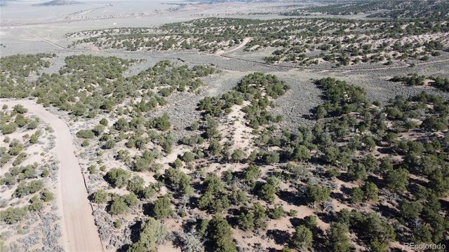 Lot 3620 Scheffellin Road, Fort Garland, CO 81133