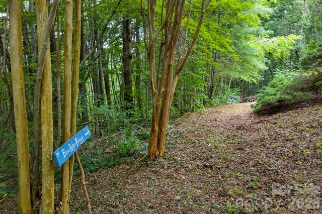 150 Avondale Ridge Road, Asheville, NC 28803