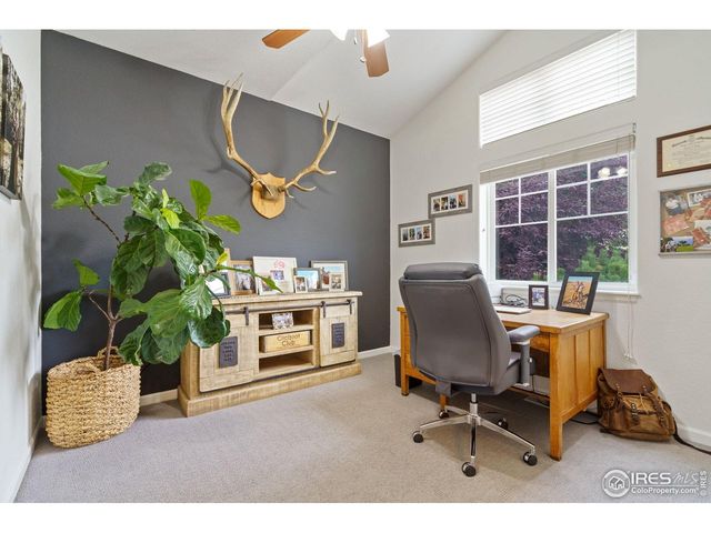 1689 Colorado River Dr, Windsor, CO 80550