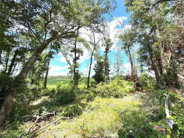 571 NW ZACK DRIVE, Lake City, FL 32055