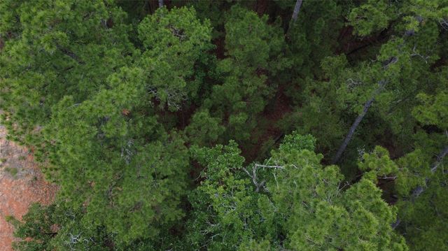 TBD Lakeside Drive, Huntsville, TX 77320