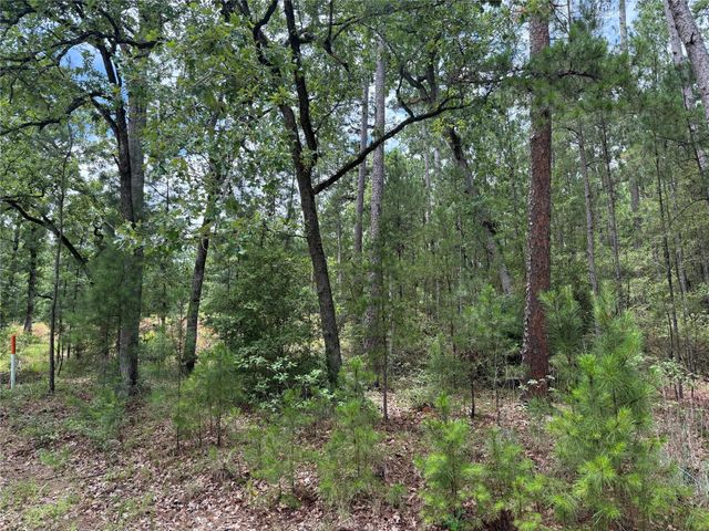 TBD Lakeside Drive, Huntsville, TX 77320