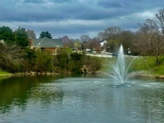 142 Ridgeview Trace, Hendersonville, TN 37075