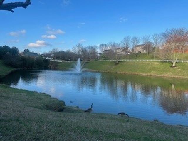 142 Ridgeview Trace, Hendersonville, TN 37075