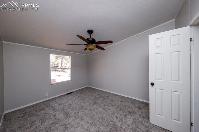 1641 Kiowa Road, Florissant, CO 80816