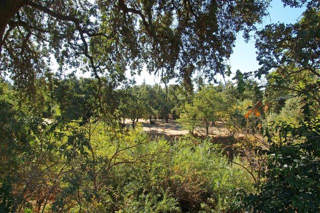 1709 Seven Falls, Modesto, CA 95355