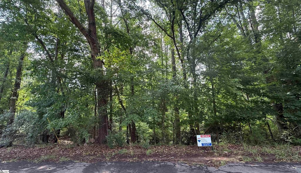 Lot 24 Mountain View Drive, Central, SC 29630