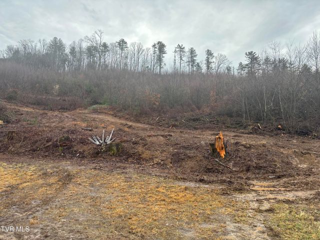 00 Houser, Mountain City, TN 37683