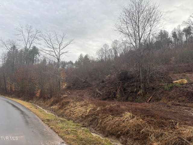 00 Houser, Mountain City, TN 37683