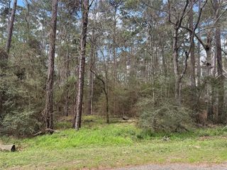 54 Green Tree Drive, Coldspring, TX 77331