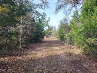 00 Tommy Tucker Road Lot 4, Altha, FL 32421
