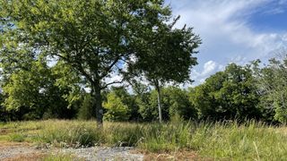 8850 Hartsville Road, Lebanon, TN 37087