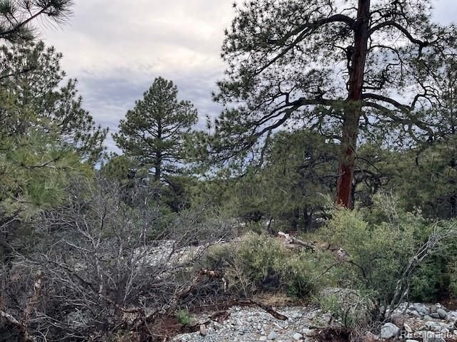 Lot 6 NN 18th Street, Blanca, CO 81123
