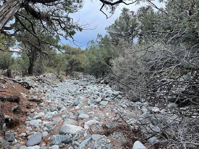 Lot 6 NN 18th Street, Blanca, CO 81123