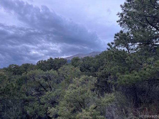 Lot 6 NN 18th Street, Blanca, CO 81123