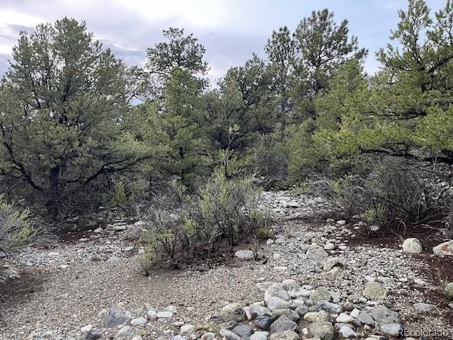 Lot 6 NN 18th Street, Blanca, CO 81123