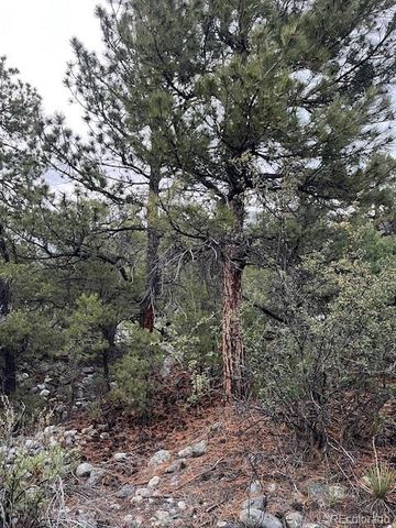 Lot 6 NN 18th Street, Blanca, CO 81123