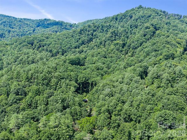 3301 State Highway 197 None N, Burnsville, NC 28714