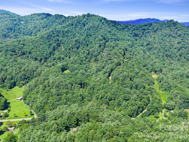3301 State Highway 197 None N, Burnsville, NC 28714