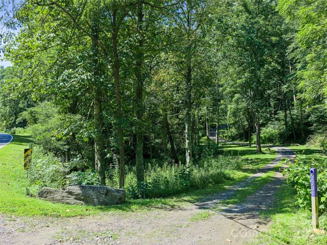 3301 State Highway 197 None N, Burnsville, NC 28714